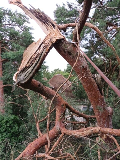 Nach dem Sturm