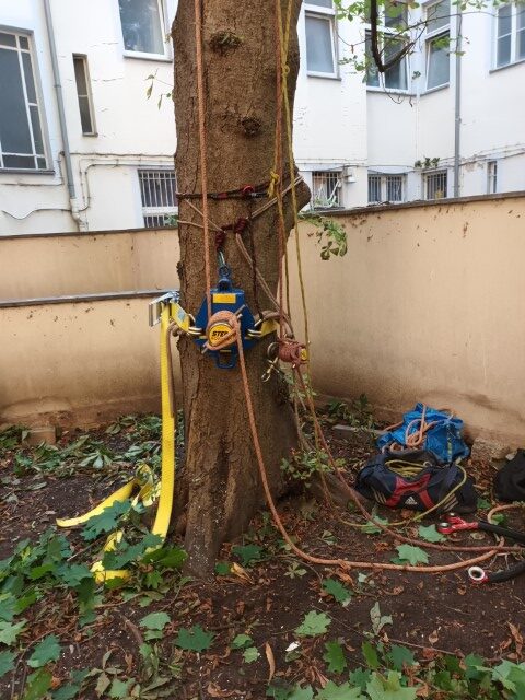 Seilwinde im Einsatz
